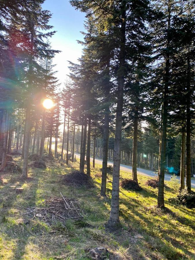 Astenturm Hotel (Adults Only) Winterberg Luaran gambar