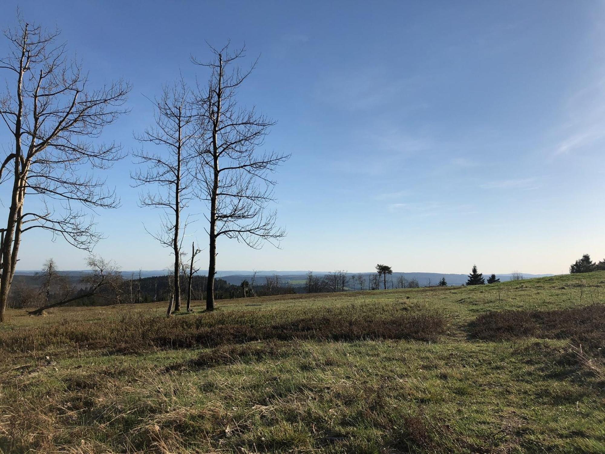 Astenturm Hotel (Adults Only) Winterberg Luaran gambar