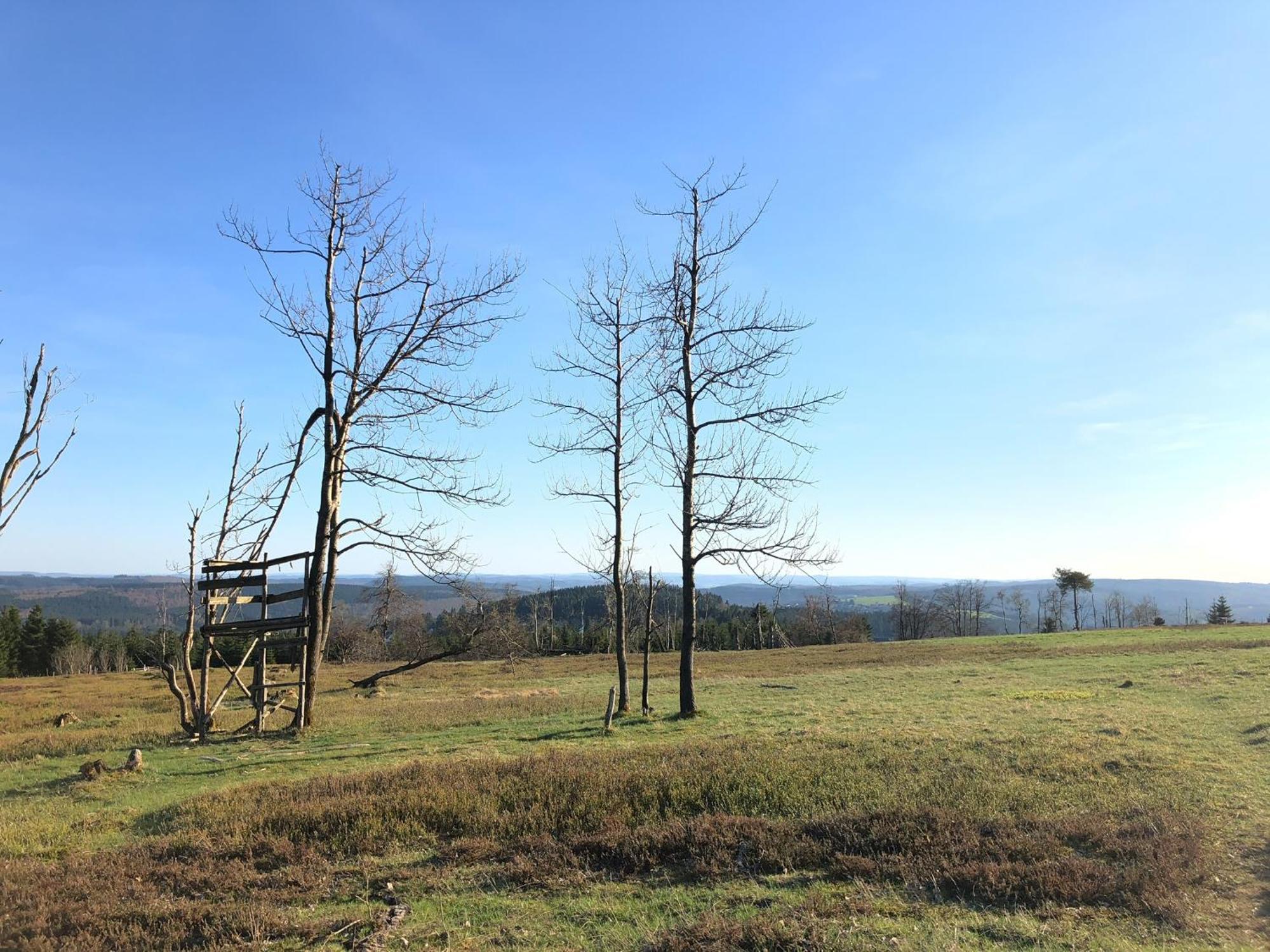 Astenturm Hotel (Adults Only) Winterberg Luaran gambar